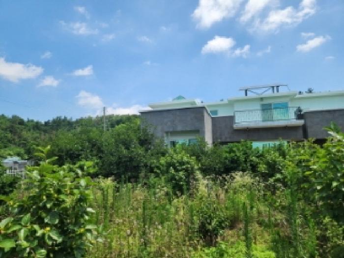 사진 05
