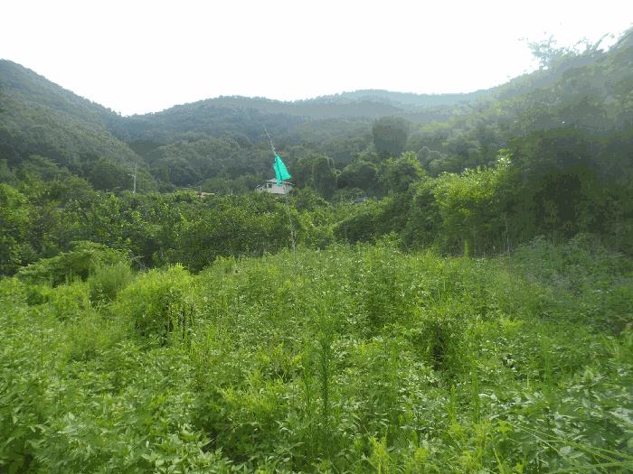 2025타경21722 대표 사진