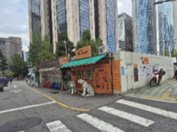 대표사진