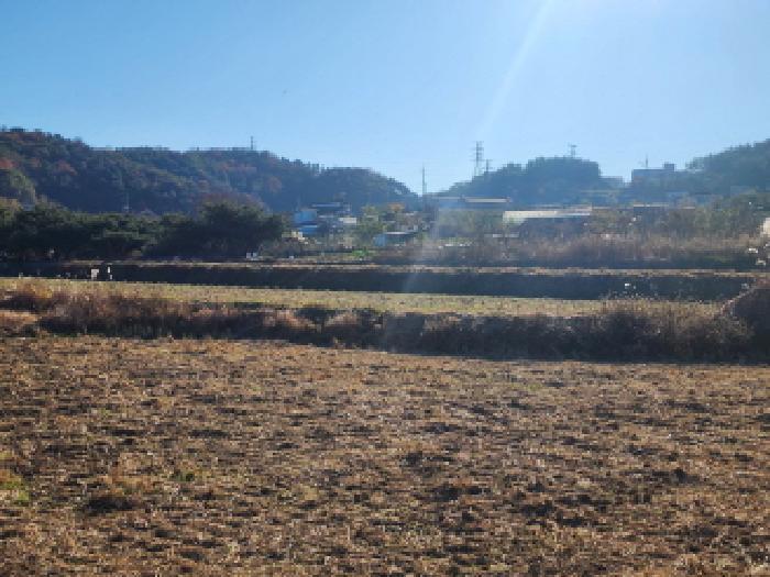 사진 03