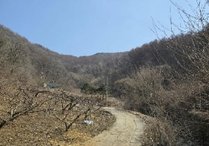 사진 07