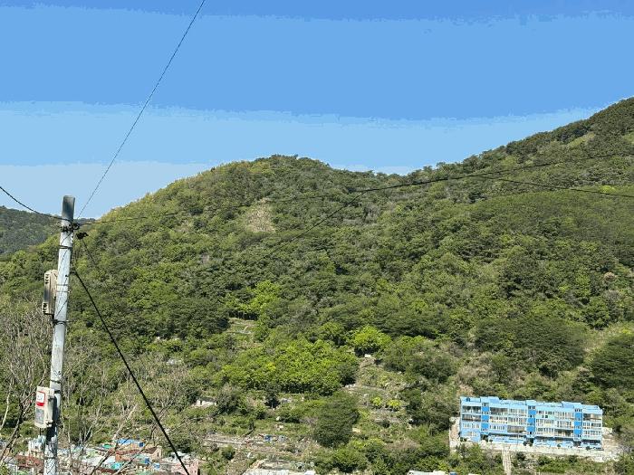 사진 07