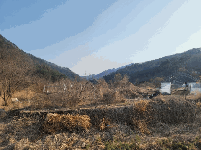 사진 06