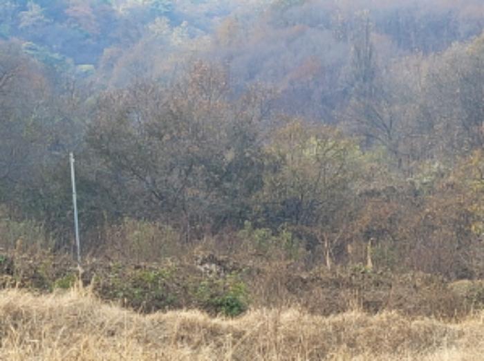 사진 08