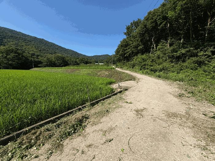 사진 06