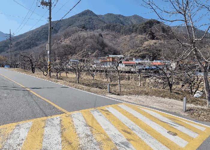 사진 06