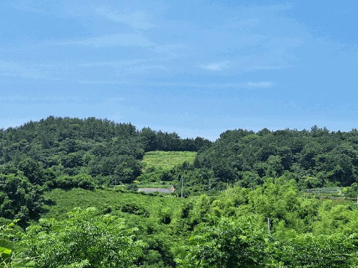 사진 07