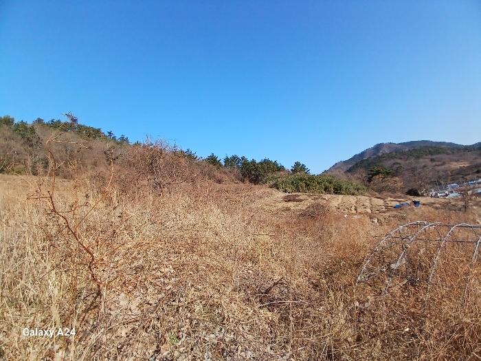 사진 05