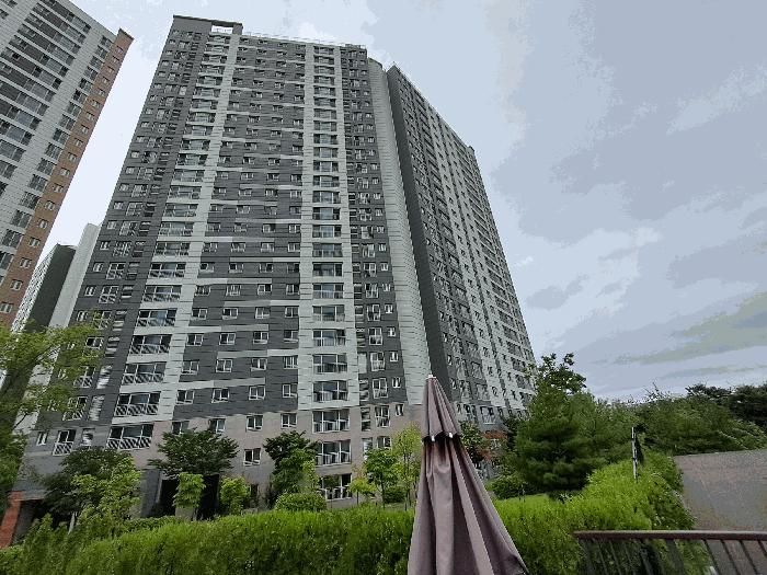사진 05