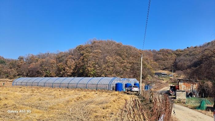 사진 08