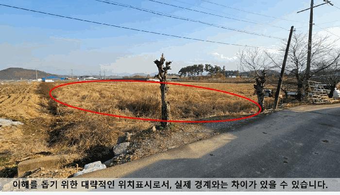 사진 02