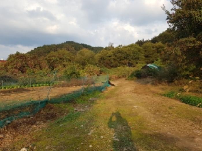 사진 07