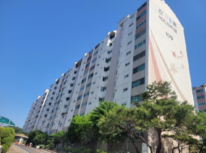 사진 03