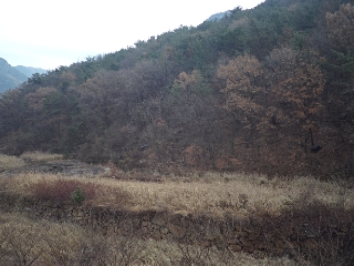 사진 06