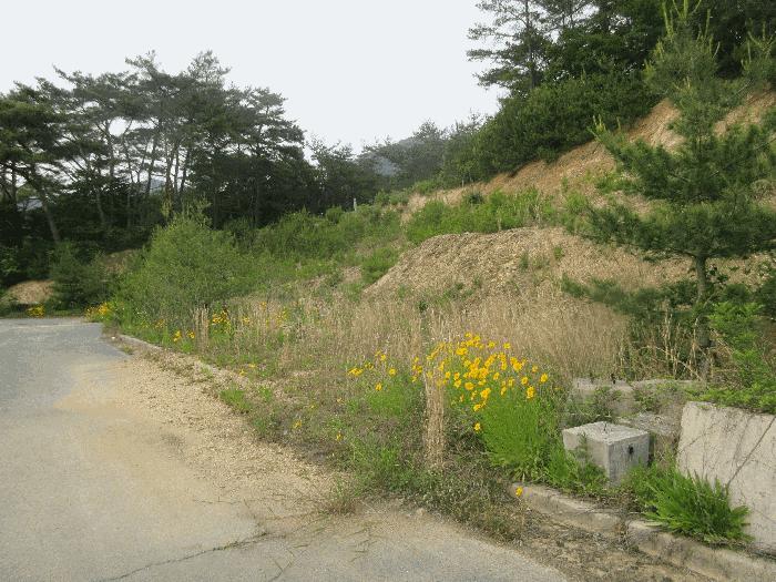 사진 08