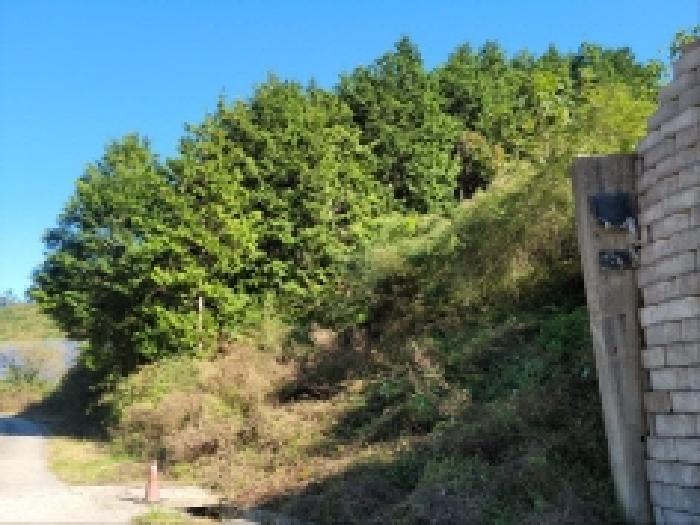 사진 07