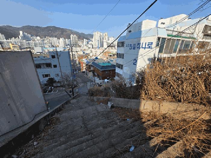 사진 02