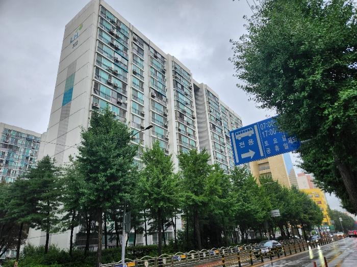 사진 01