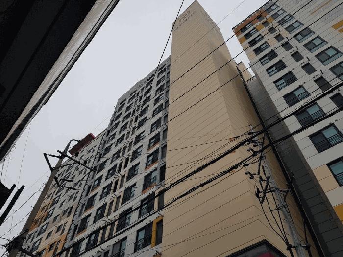 사진 02
