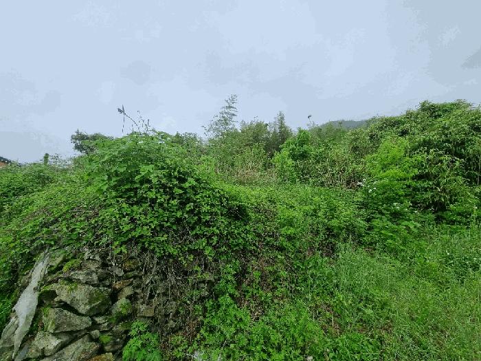 사진 08