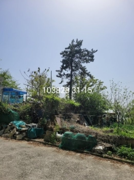 사진 06