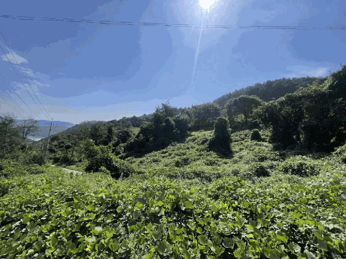 사진 07