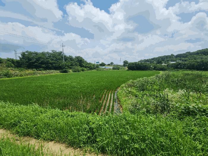 사진 02