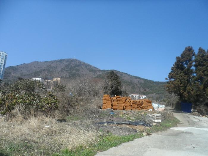 사진 01