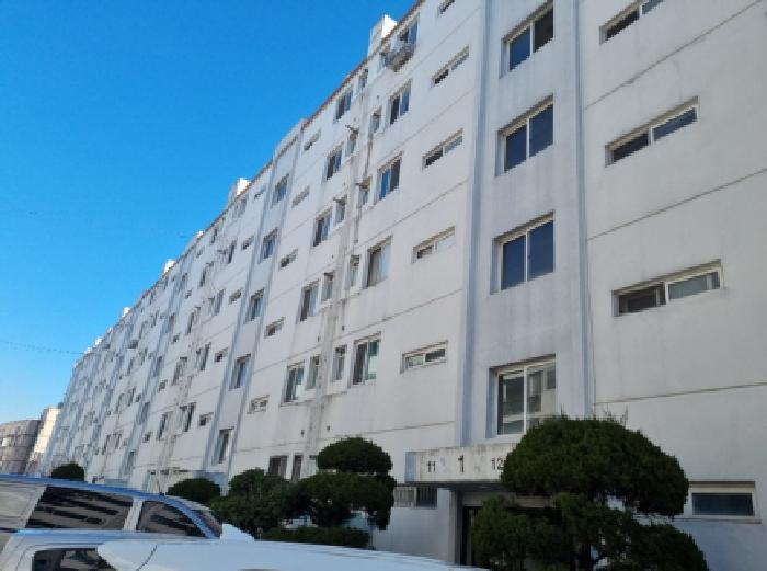 사진 05
