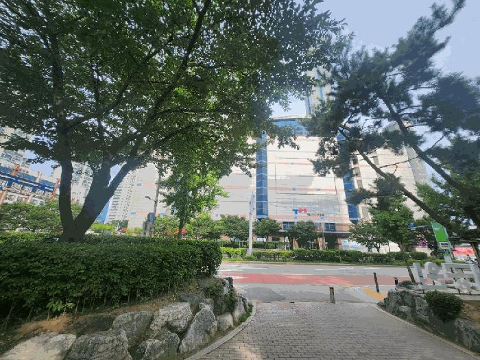 사진 08
