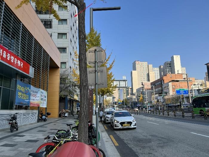 사진 08