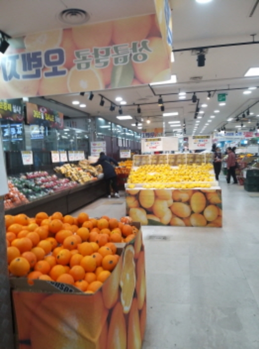 사진 04