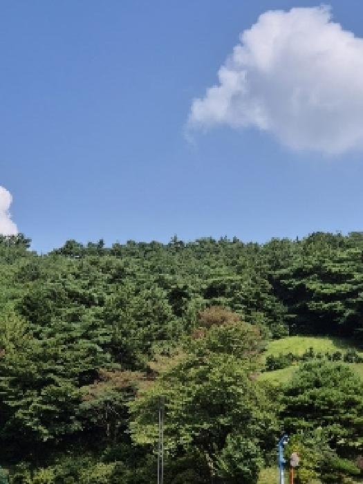사진 03