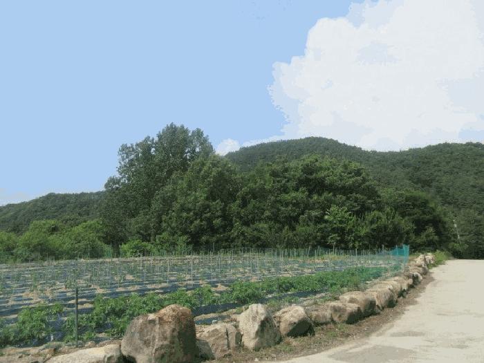 사진 03