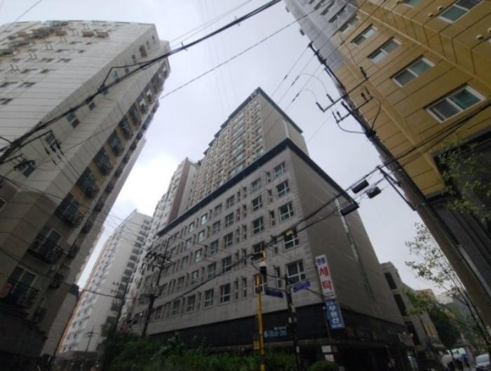 사진 05