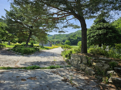 사진 01