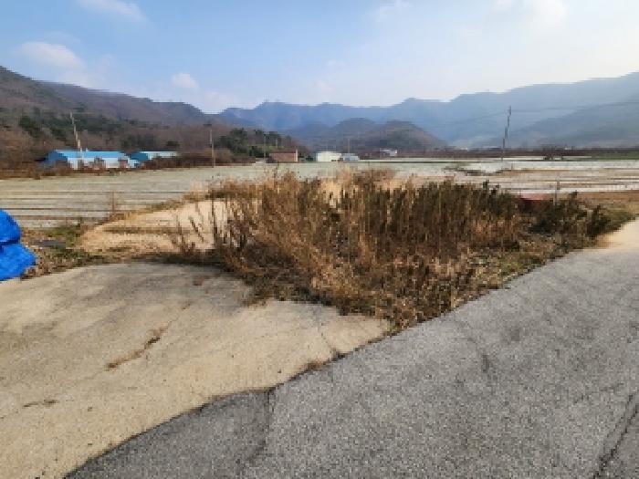 사진 03