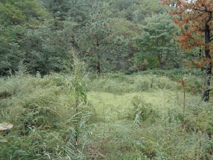 사진 05