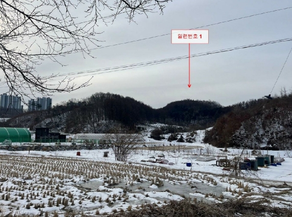 사진 02