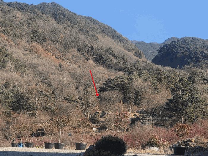 사진 03