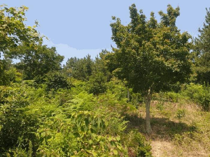 사진 07