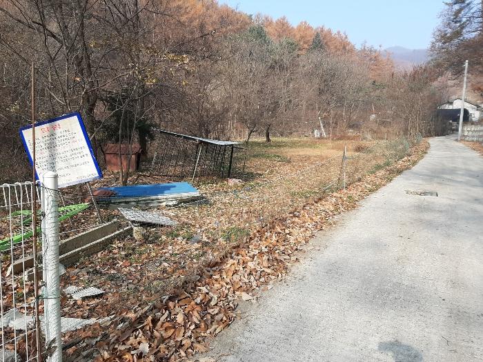 사진 01
