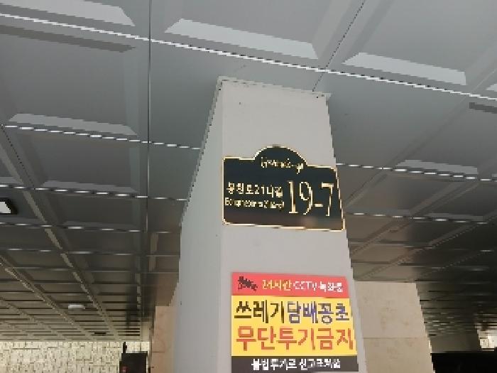 사진 01