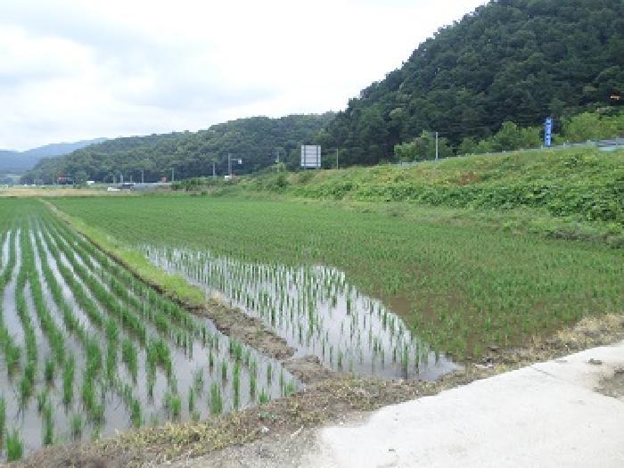 사진 06