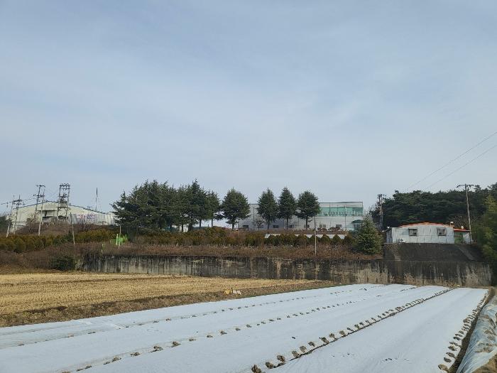 사진 03