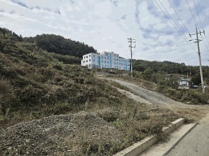 사진 01