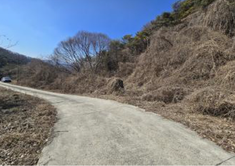 사진 03