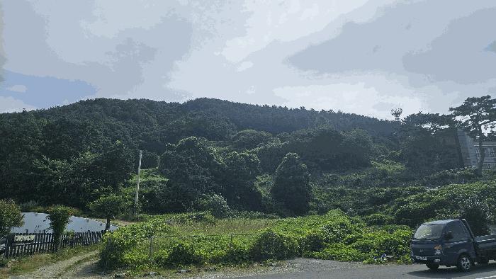 사진 05