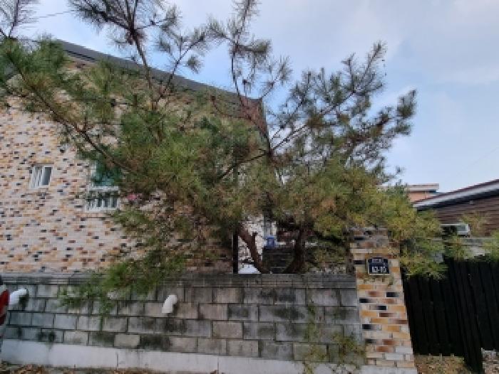 사진 01