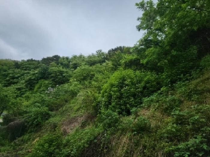 사진 08
